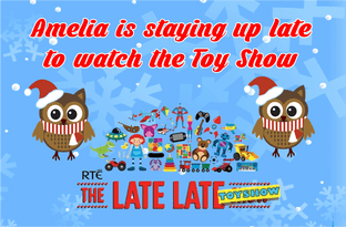 Personalised Toy Show Themed Jigsaw