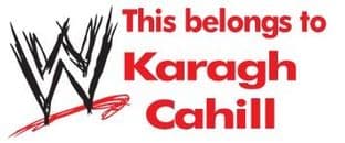 Personalised WWE Wrestling Keyring School Bag Name Tag