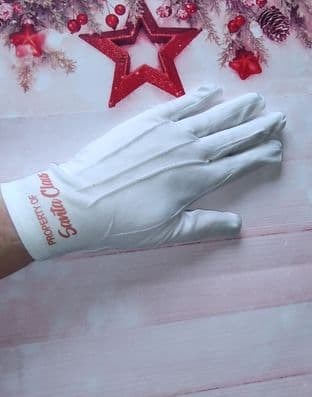 Santa's Lost Dropped Glove