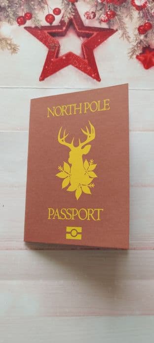 Santa's Lost Passport