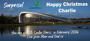Suprise Center Parcs Ticket Gift Blue