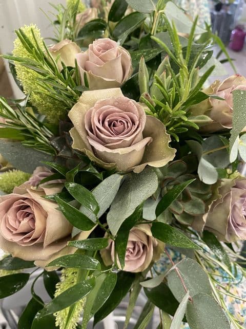 Foliages and Succulents