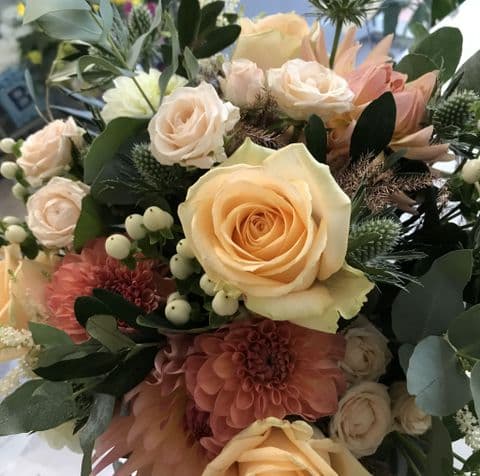 Rose Gold and Peaches