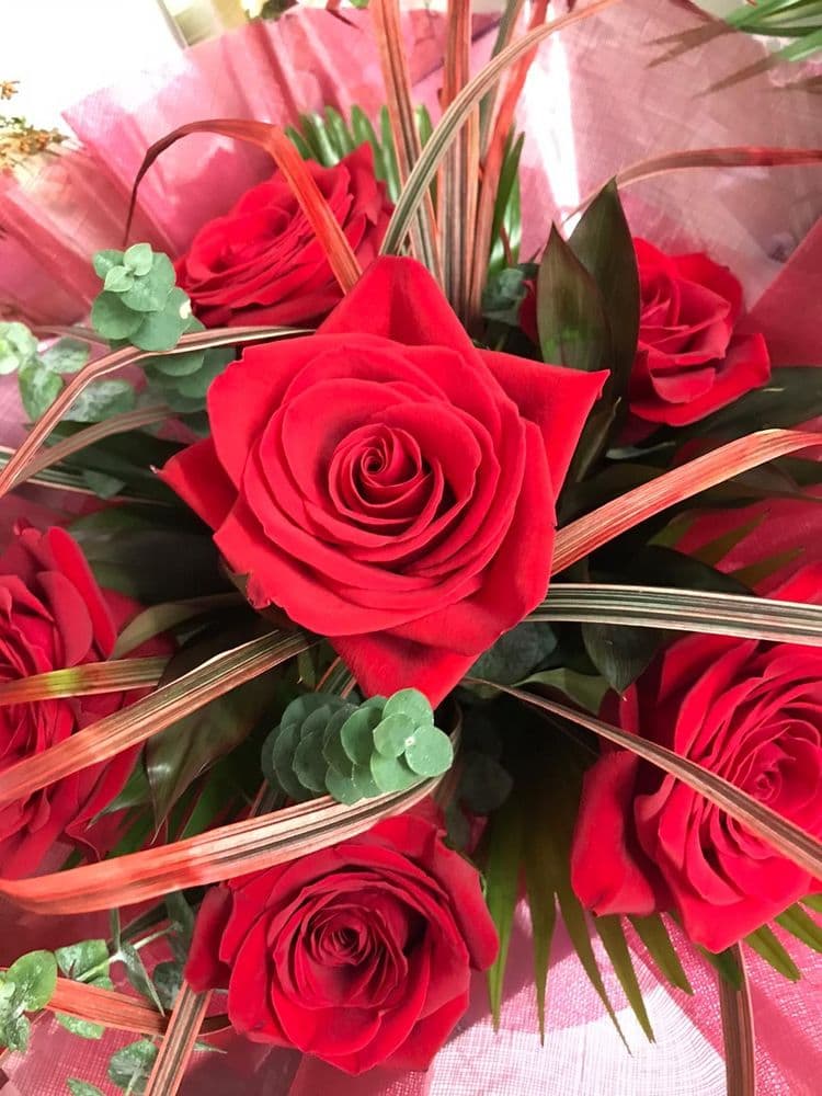 Six Velvet Red Rose Posy