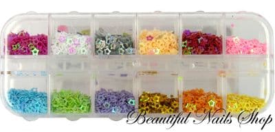 Hollow Star Spangles 12 Colors