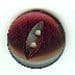Brown Button B200179