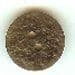 Light Brown Button B200065