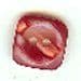 Pearly Red Button B200014