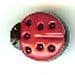 Red & Black Ladybird Button B200097
