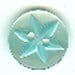 Turquoise Button B200019