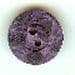 Violet Button B200055
