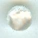 White Button B200008