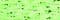 YLI RibbonFloss 037 - Mist Green/Opal