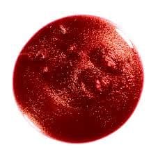 Orly Gel Fx - Flagstone Rush