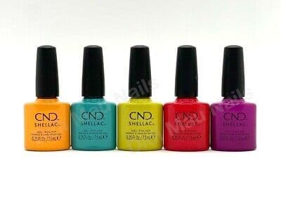 Rise & Shine Spring 2022