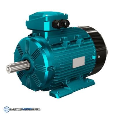 Brook Crompton WE3-100L-6 1.5kW 6P 230/400V 3PH WP-DA100LTF WU-DA100LUW