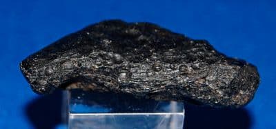 A Black Indochinite Tektite found in Thailand. SOLD