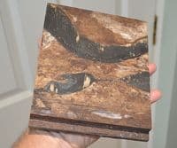 A fragment of decking  from S.S. Nomadic (1911), Tender boat for  RMS Titanic (K18) SOLD
