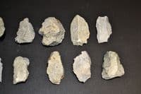 A good collection of 12 x Mesolithic Portland Chert flaked cores, scrapers & blades (N21) SOLD