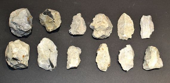 A good collection of 12 x Mesolithic Portland Chert flaked cores, scrapers & blades (N21) SOLD