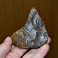 A good Lower Palaeolithic pointed flint hand axe, River Stour, Harkstead, Suffolk. SOLD