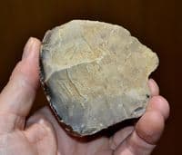 A  good Lower Paleolithic 