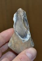 A  good Lower Paleolithic 