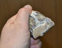 A  good Lower Paleolithic 