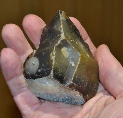 A good Paleolithic Mousterian 