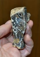 A good Paleolithic Mousterian 