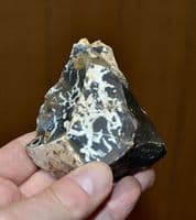 A good Paleolithic Mousterian 