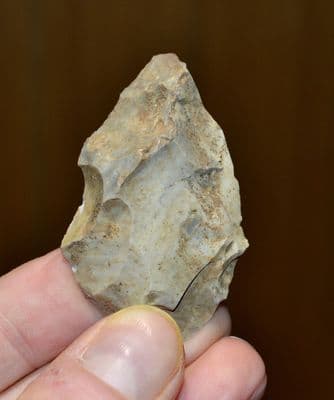 A good Paleolithic (Neanderthal) 
