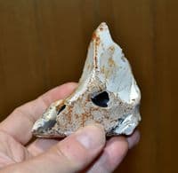 A good pointed Mid-Paleolithic flint pointed hand axe, Northrepps, Norfolk.