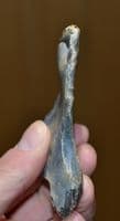 A  good sized & attractive Lower Paleolithic 