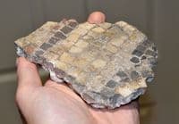 A good sized & rare segment of Roman multicoloured mosaic flooring, Gloucestershire, U.K. SOLD