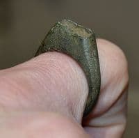 A good sized, robust and excellent Medieval bronze 