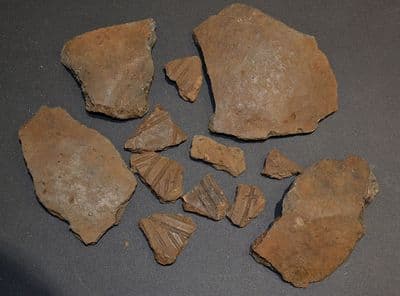A group of 12 x assorted larger shards of rare Early Anglo Saxon Pagan period pottery, some nicely decorated, from Lackford, Suffolk. (Lot 3)