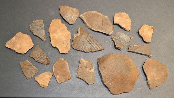 A group of 17 x assorted larger shards of Early Anglo Saxon Pagan period pottery, Suffolk (L2)  SOLD