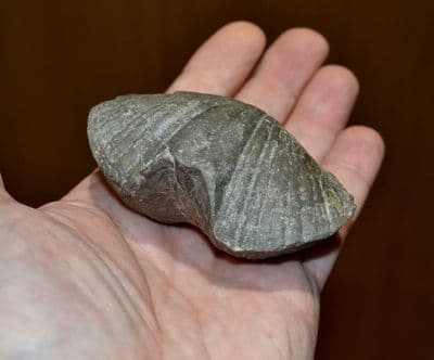 A huge and exceptional 