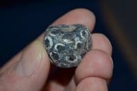 A huge and very ornate Roman glass bead. SOLD