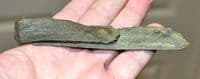 A huge Late Medieval bronze strap end with remnant of leather strap still attached, Yorkshire SOLD