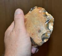 A large and attractive Lower Paleolithic  Unifacial Ovate Hand Axe from Whitlingham, Norfolk.