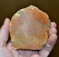 A large and attractive Lower Paleolithic  Unifacial Ovate Hand Axe from Whitlingham, Norfolk.