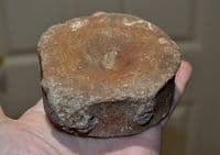 A large and excellent Icthyosaur vertebrae Jurassic Period, Kimmeridgian, Oxfordshire (N16) SOLD