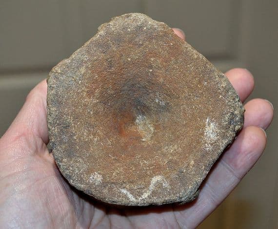 A large and excellent Icthyosaur vertebrae Jurassic Period, Kimmeridgian, Oxfordshire (N16) SOLD