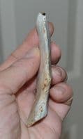 A large and excellent Mesolithic tanged flint knife / saw from Dorset SOLD