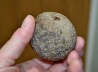 A large and excellent quality Neolithic flint hammer stone, Suffolk Ex.Simon Camm Collection. SOLD