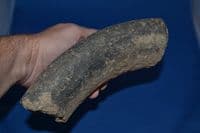 A large and impressive rim section from an enormous Late Iron Age bulbous Storage jar, found Brantham, Suffolk. SOLD
