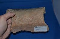 A large and impressive rim section from an enormous Late Iron Age bulbous Storage jar, found Brantham, Suffolk. SOLD