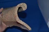 A large and impressive rim section from an enormous Late Iron Age bulbous Storage jar, found Brantham, Suffolk. SOLD